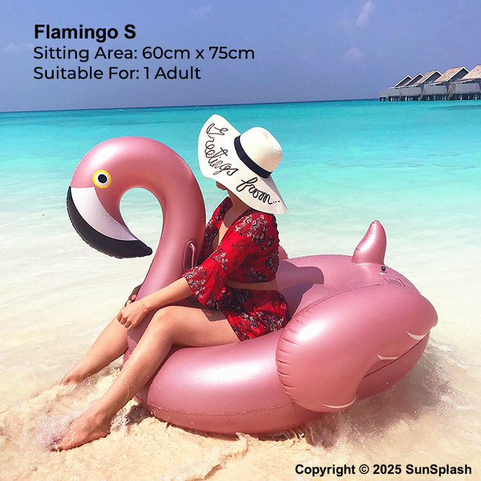 Adult Inflatables Party Float